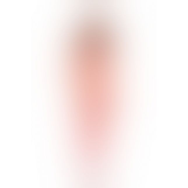 Бодістокінг - Rene Rofe Lingerie Industr. Net Suspender Bodystocking Pink