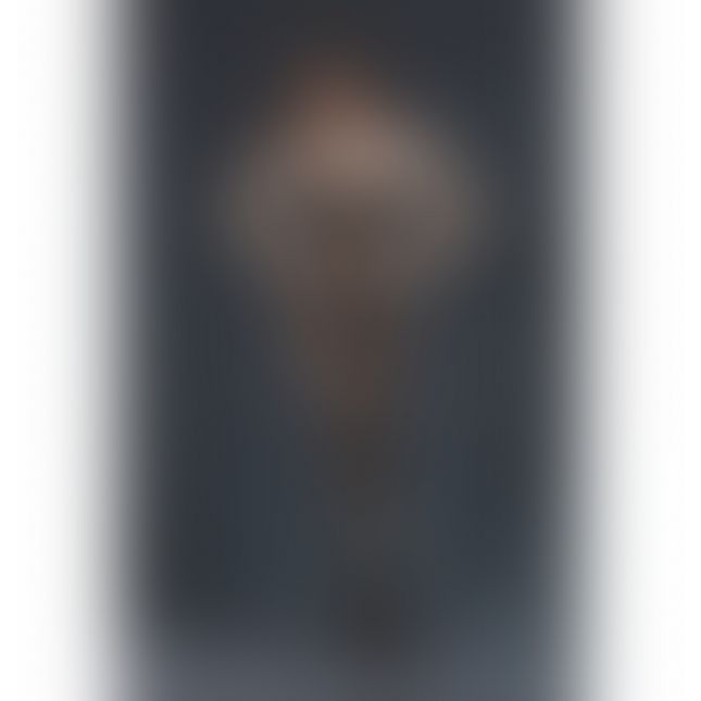 Прозорий бодістокінг Moonlight Model 03 XS-L Black, з доступом