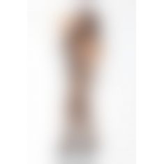 Бодістокінг Passion BS003 black, комбінезон, дрібна сіточка