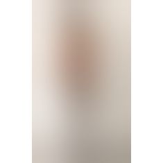 Тюлевый комбинезон с клетчатой юбочкой Lolitta Essence of Passion bodystocking, S/M