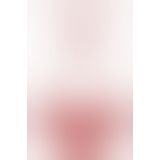 Боді Obsessive 860 - TED