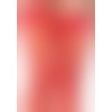 Leg Avenue Sheer Stockings - чулки под пояс (телесный) Leg Avenue Sheer Stockings - чулки под пояс (телесный)