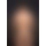 Мужские G-стринги на застежке Magnetic G String (розовый S/M)
