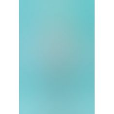 Leg Avenue LEG81251M - Секси комплект Exquisite М, (черный с бирюзовым))