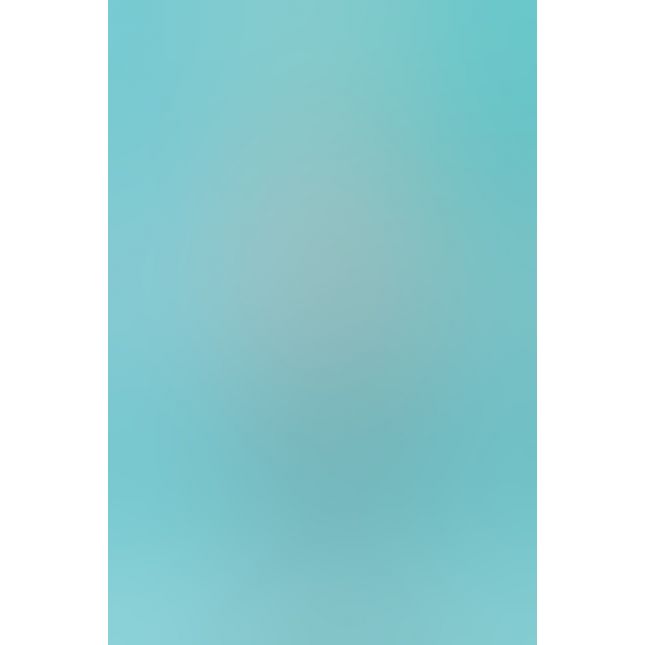 Leg Avenue LEG81251M - Секси комплект Exquisite М, (черный с бирюзовым))
