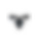 033 THONG PAUL black S/M - Passion