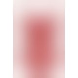 Боді Obsessive 860 - TED