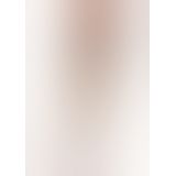 Leg Avenue Sheer Stockings - чулки под пояс (телесный) Leg Avenue Sheer Stockings - чулки под пояс (телесный)