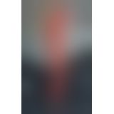 Бодістокінг - Netty