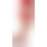 Панчохи - Stockings - skin/red