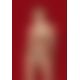 Боді Obsessive Wonderia, S/M