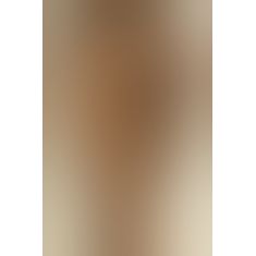 Колготки Gabriella Lilly 20 den з декоративними трусиками