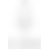 Мужские шорты с блестящим гульфиком Passion 002 SHORT black S/M