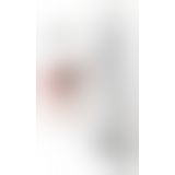 Полупрозрачное мини-платье Passion BS101 One Size, red, рукава-митенки