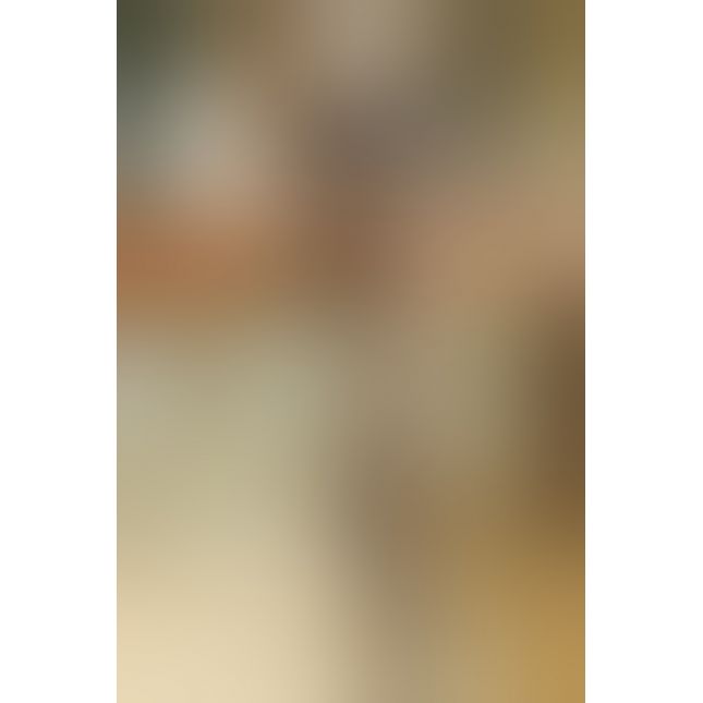 Dolce Piccante колготки с вырезом в зоне бикини