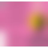 Збуджувальна змазка на водній основі pjur my glide 100 мл, із женьшенем, зігріває