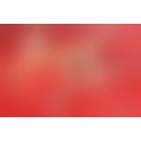 Простирадло - Fetish Collection Lack Patent Leather Sheet Red, 200х230 см