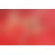 Простирадло - Fetish Collection Lack Patent Leather Sheet Red, 200х230 см