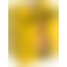 Sit-On-Me Sex Machine