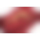 Простирадло - Fetish Collection Lack Patent Leather Sheet Red, 200х230 см