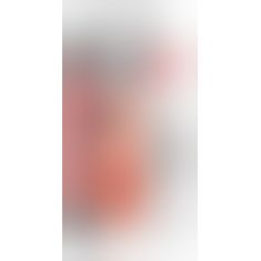 PDX Plus PP Dream Stroker