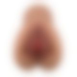 Мастурбатор - Crazy Bull Eliana Masturbator Latin