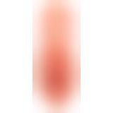 PDX Plus PP Dream Stroker