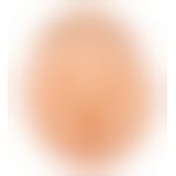 Мастурбатор вагіна - XXX To-Go Charlotte