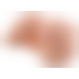 PET Bad Girl Vibrating Ass