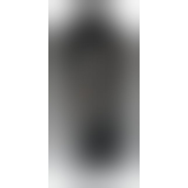 Rebel Masturbator 2 functions