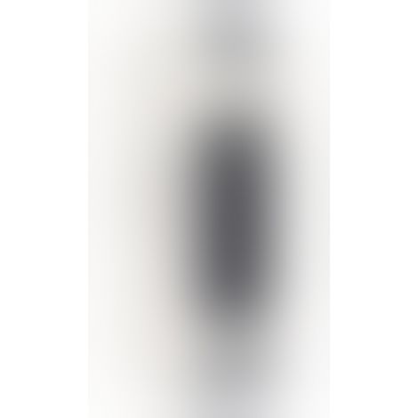 SVAKOM Sam Neo 2