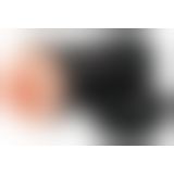 PDXE Wet Pussies Super Lusciou