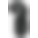 Snail Vibe EVO black