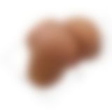 Мастурбатор - Crazy Bull Gretana Full-Size Realistic Masturbator