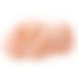 Мастурбатор - Crazy Bull Vagina Flower Masturbator