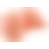 PDX Plus Ass Masturbator Light