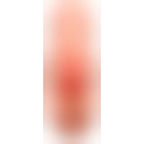 PDX Plus PP Double Stroker Lig