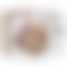 Мастурбатор - Streetgirl's Dual Motor Sensation Pulse With Dildo