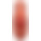 PDX Plus PP Double Stroker Tan