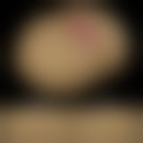 Мастурбатор - Streetgirl's #11 Flesh