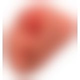 PDX Plus PP Double Stroker Tan