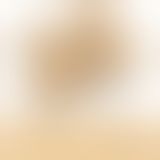 Мастурбатор - Streetgirl's #6 Flesh