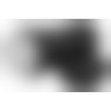 PDXE Wet Pussies Super Slide PDXE Wet Pussies Super Slide