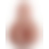 PDX Male Pump & Dump Stroker F