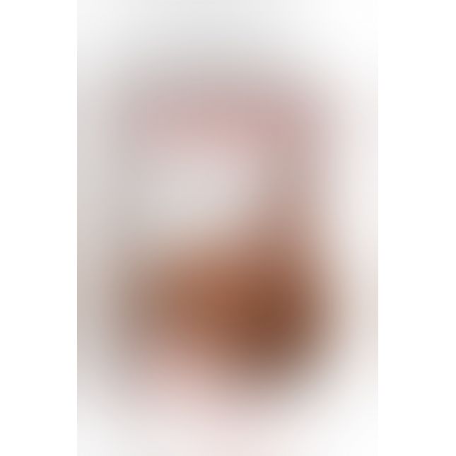 PET Flip Me Over Brown