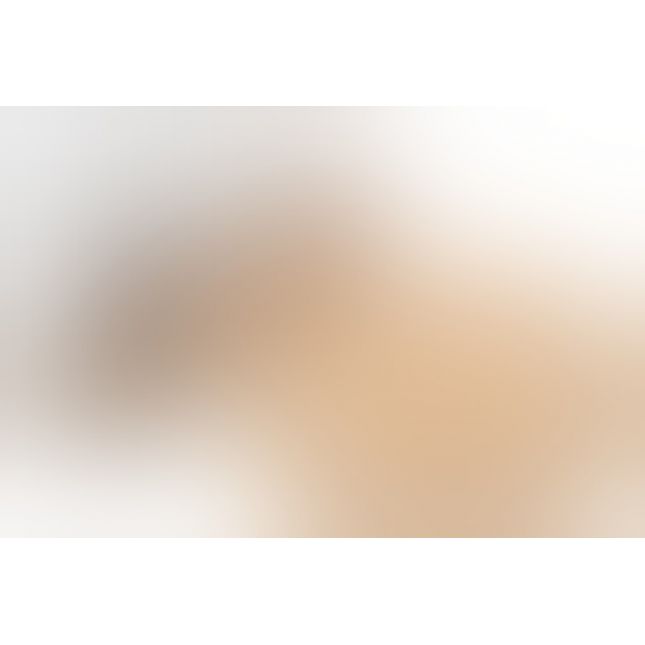 Мастурбатор вагіна і анус - Doggy Darling Pussy and Ass