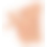 PDX Plus Perfect Ride Light