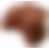 PET Vibrating Ass Brown