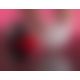 Мастурбатор - MALESATION Masturbation Cup - Lucky Ball