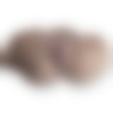 Мастурбатор-полуторс с двумя входами SilexD Helenita Female Torso